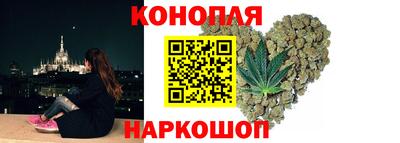 прущие грибы Пугачёв