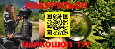 прущие грибы Пугачёв