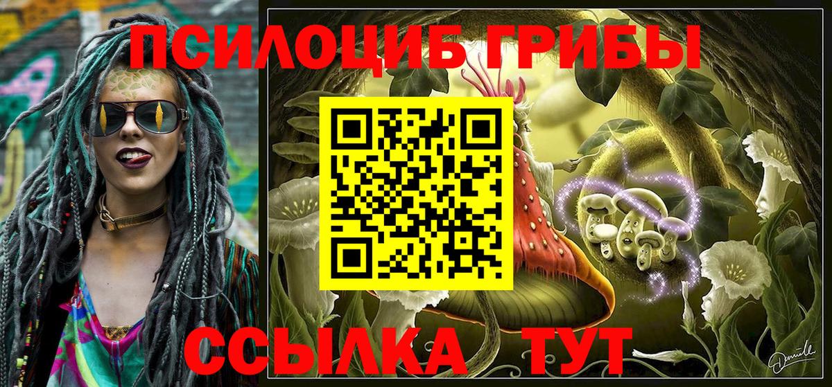 Галлюциногенные грибы Psilocybine cubensis  Галлюциногенные грибы Magic Shrooms  Сергиев Посад  Вход с VPN 