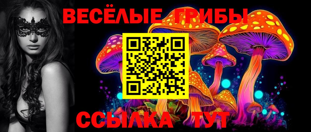 Галлюциногенные грибы Psilocybe Сергиев Посад